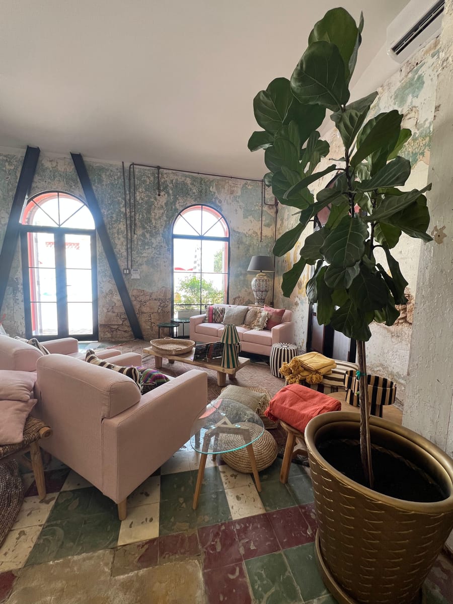 Showroom with pink sofas and armchairs, arched windows, a tall fiddle-leaf fig and a tiled floor
